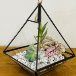Terrarium