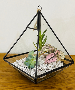 Terrarium